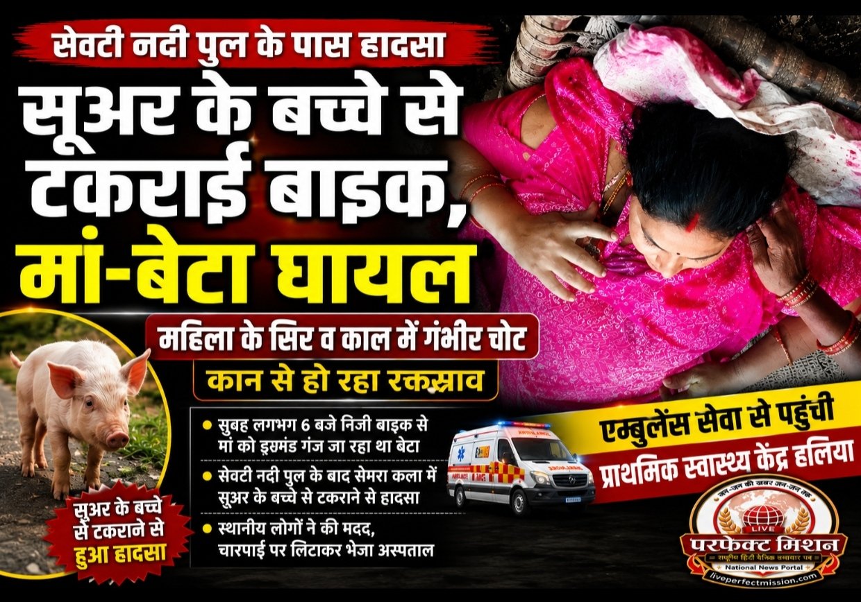 सूअर के बच्चे से टकराई बाइक, मां-बेटा घायल