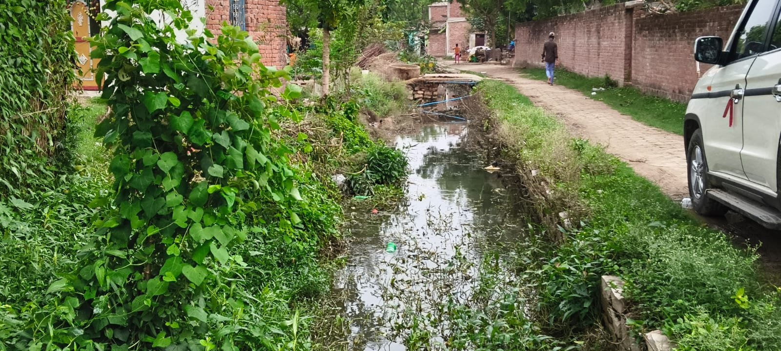 तेंदुआ कला में नहर और नाले की सफाई न होने से ग्रामीणों में आक्रोश