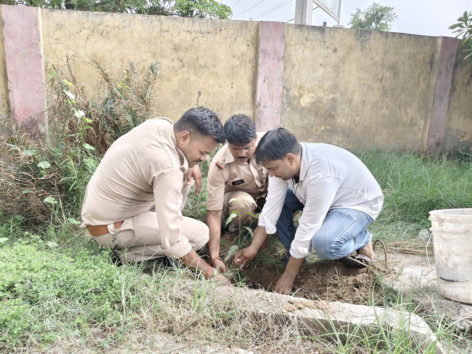 पत्रकार शाकिर अंसारी ने "एक पेड़ मां के नाम" अभियान में लगाया पौधा,