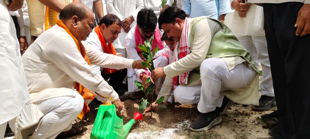 'एक पेड़ माँ के नाम' अभियान के तहत मैक्सवेल इंस्टीट्यूट में भाजपा काशी क्षेत्र अध्यक्ष अशोक चौरसिया ने किया वृक्षारोपण