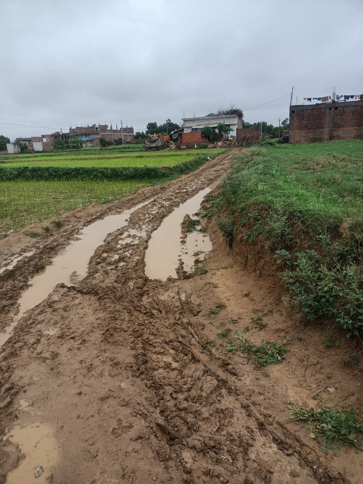 बगहा शिमला बस्ती तक जाने का रास्ता बदहाल, ग्रामीणों ने विकास कार्यों की अनदेखी का लगाया आरोप