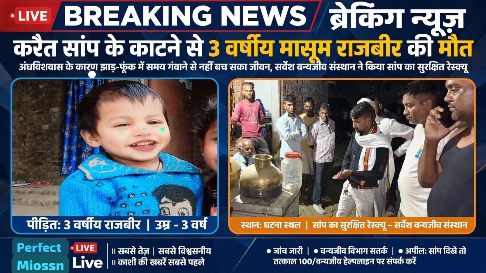 करैत प्रजाति का सांप के काटने से 3 वर्षीय मासूम राजबीर की हुई मौत