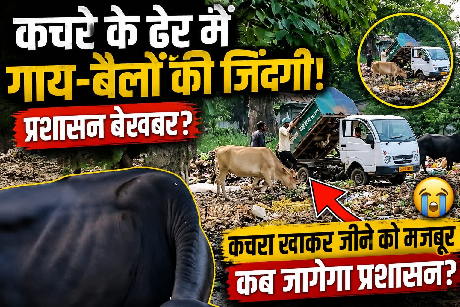 क्लीन इण्डिया के स्लोगन के साथ कॉलोनी में कचरा डाल रहा रेलवे!